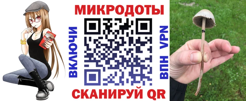 Галлюциногенные грибы Magic Shrooms Суджа