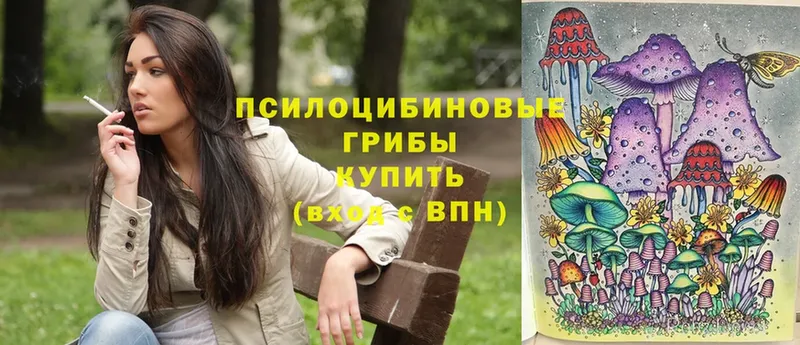 Галлюциногенные грибы Magic Shrooms  Суджа 
