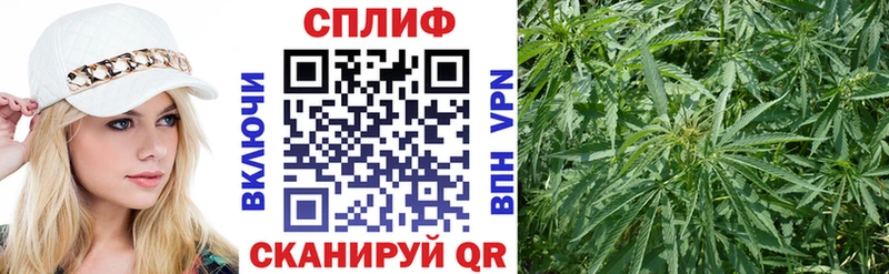 blacksprut рабочий сайт  закладки  Суджа  Канабис SATIVA & INDICA 